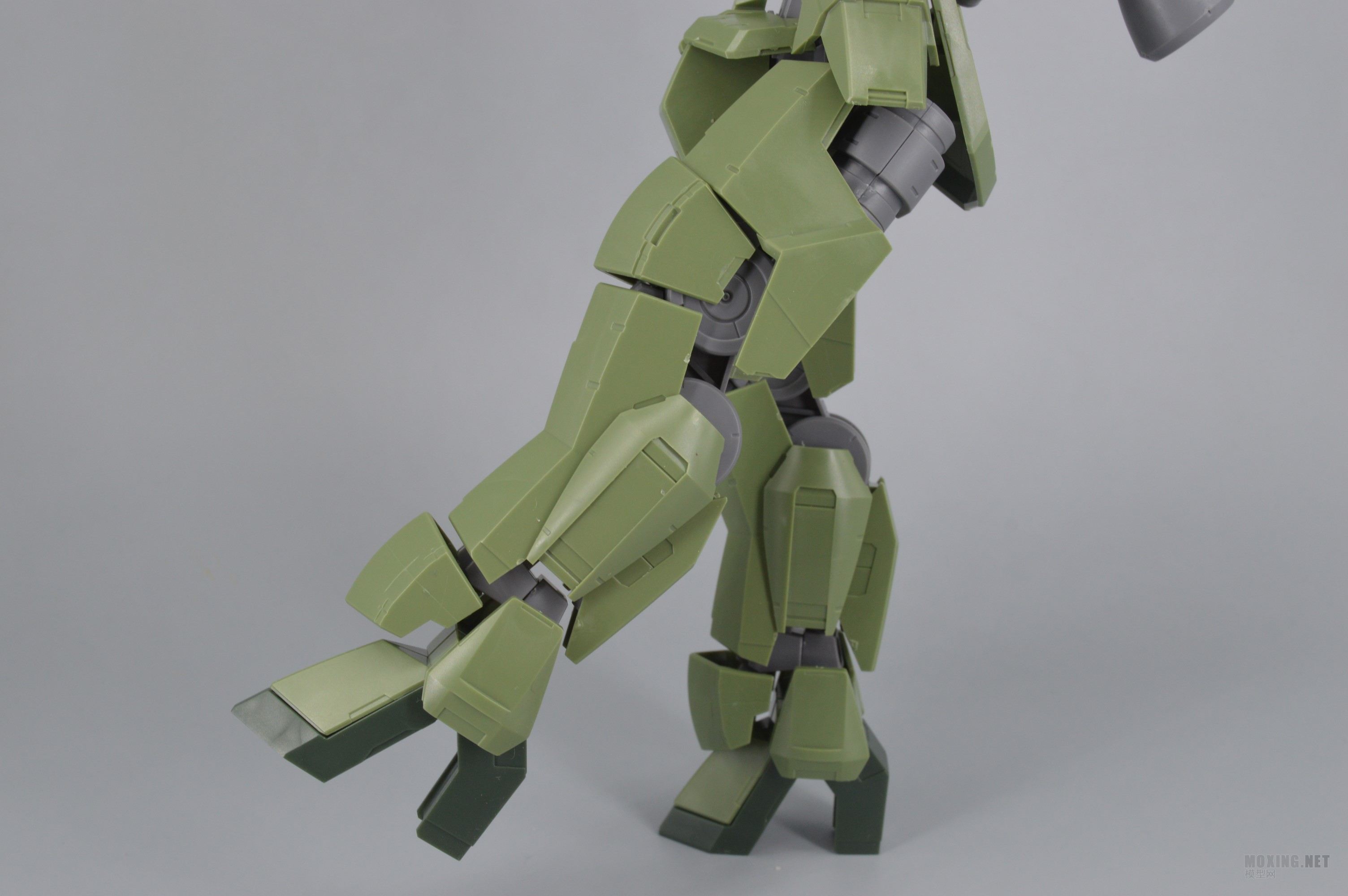 [ģ]-1/100 IBO(Ѫ)ȸ GRAZE CUSTOM