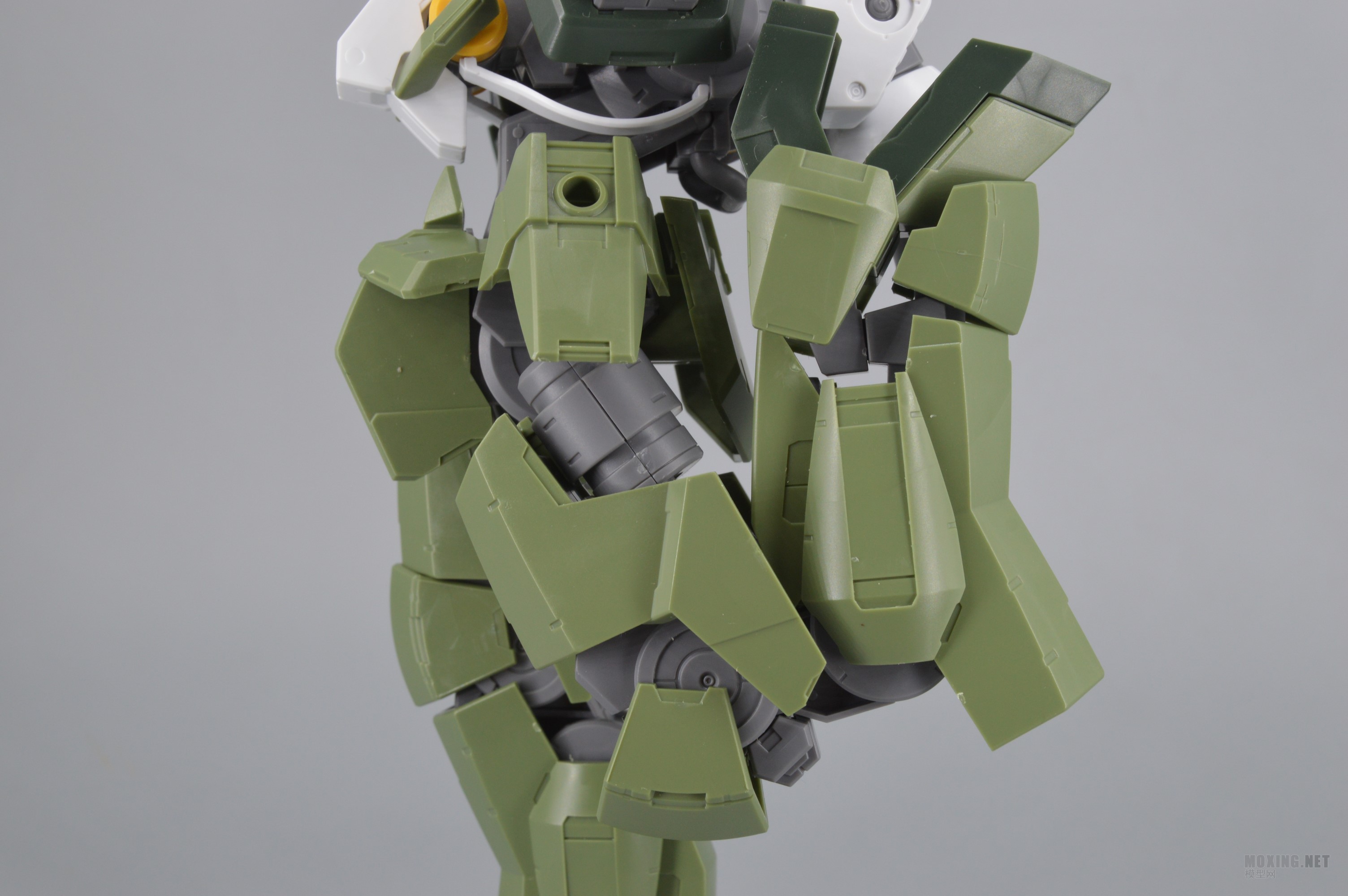 [ģ]-1/100 IBO(Ѫ)ȸ GRAZE CUSTOM