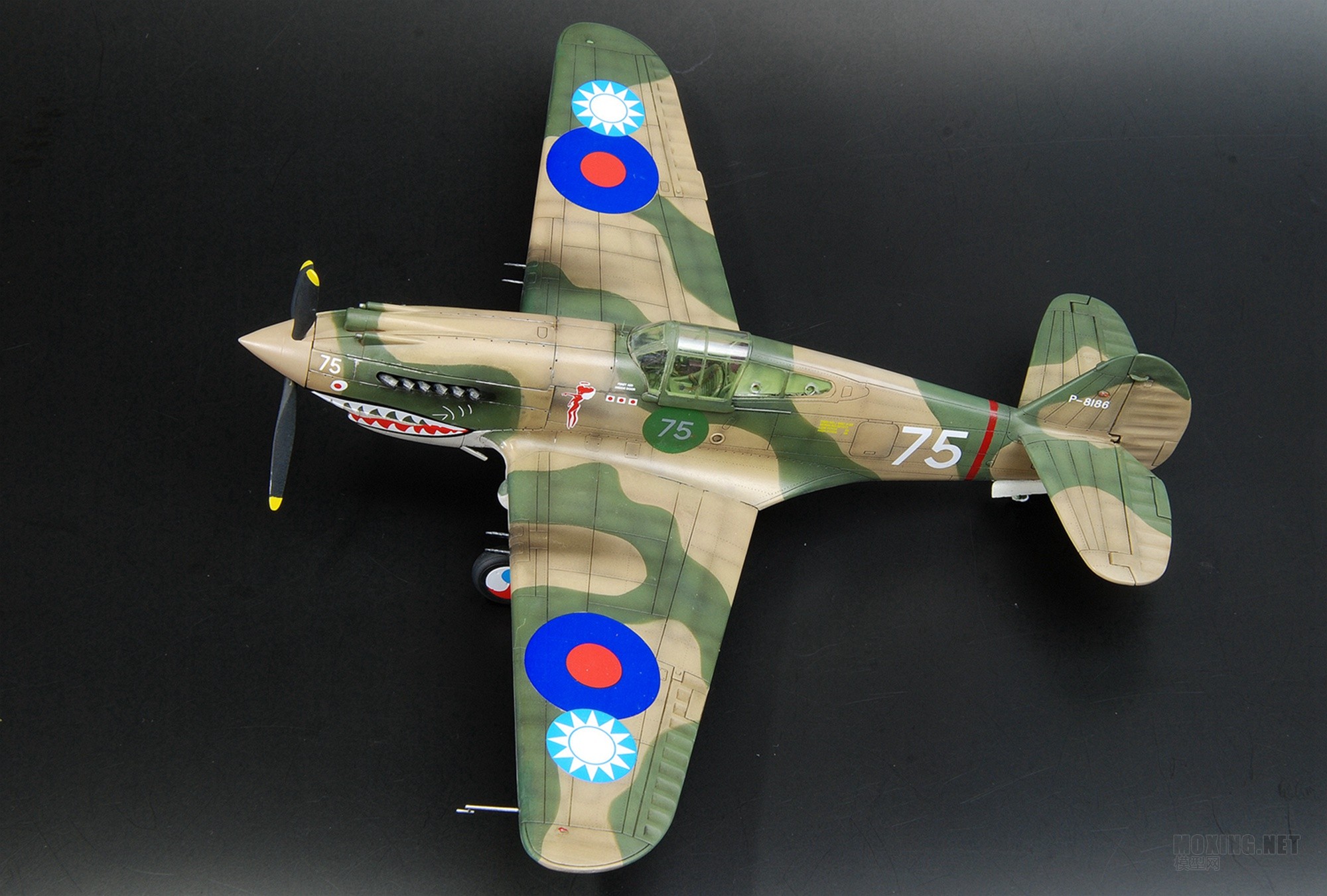 威骏1/48 寇蒂斯p-40c(霍克81a-2)战斗机(飞虎队)