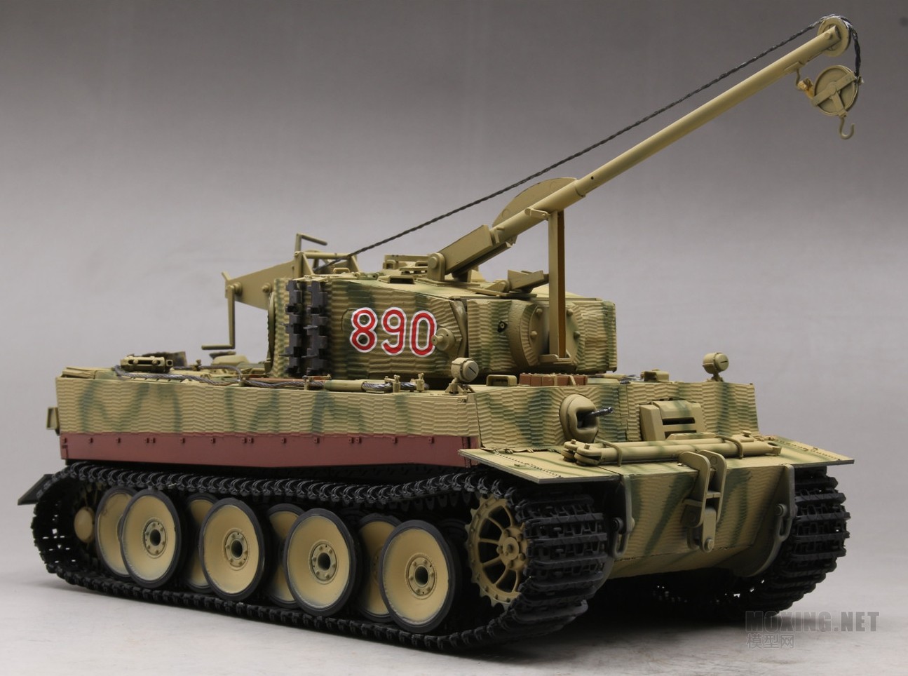 [ģ](RFM)-1/35¹