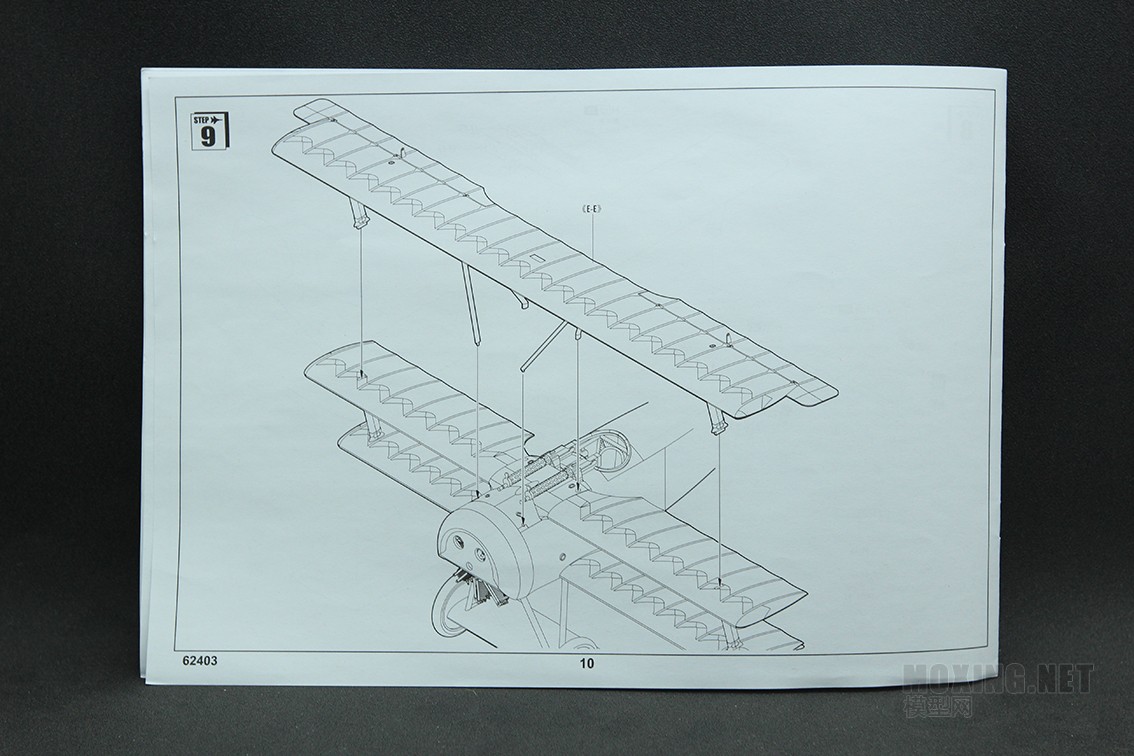 [ģ]С-1/24 Dr.I ս(62403)