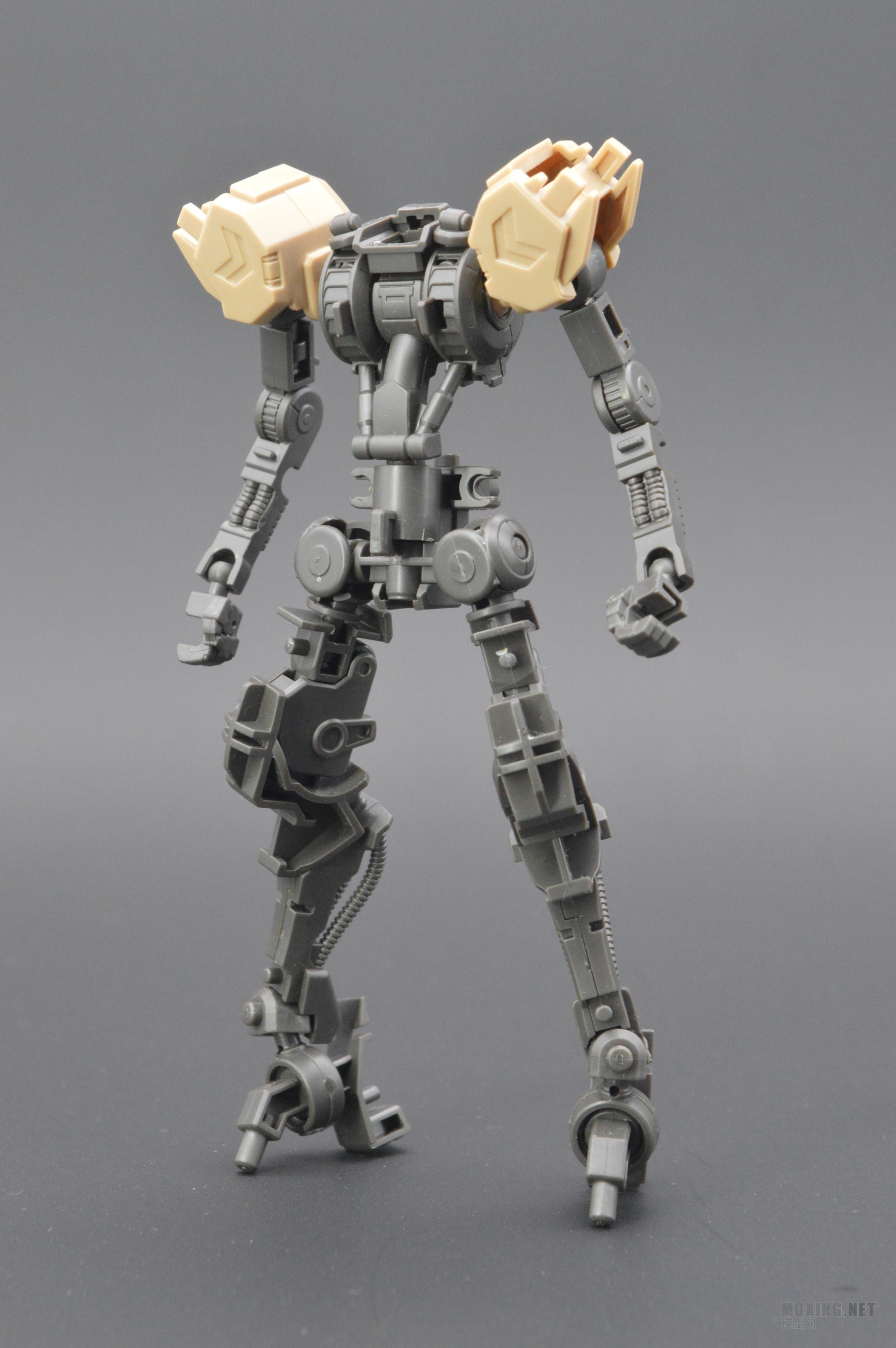 [ģ]-1/144 HG IBO(Ѫ)-ߴض