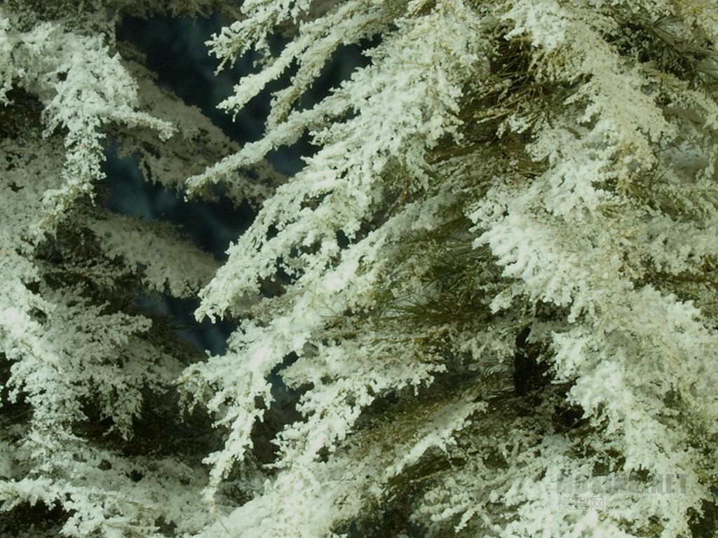 Ѫɫר-1(06).jpg