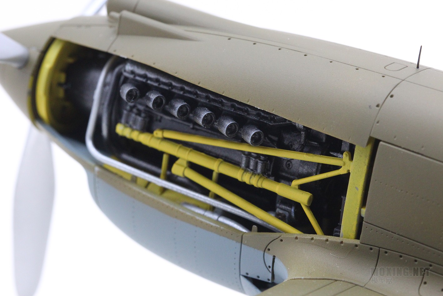 [ģ]-1/48 P-40Cս
