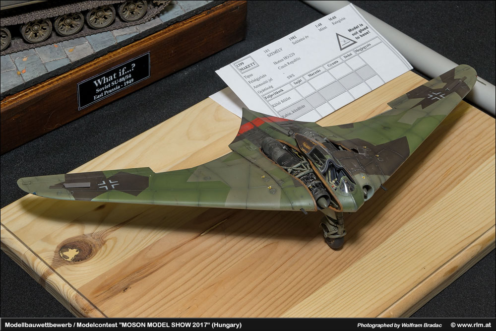 匈牙利莫雄模型展(Moson Model show)2017 作品欣赏