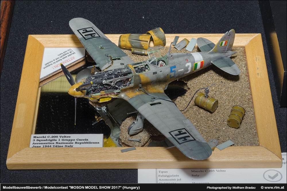 匈牙利莫雄模型展(Moson Model show)2017 作品欣赏