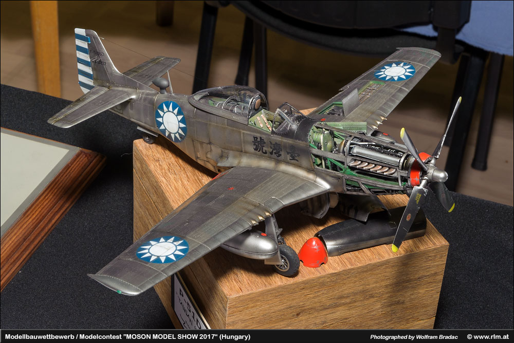 匈牙利莫雄模型展(Moson Model show)2017 作品欣赏