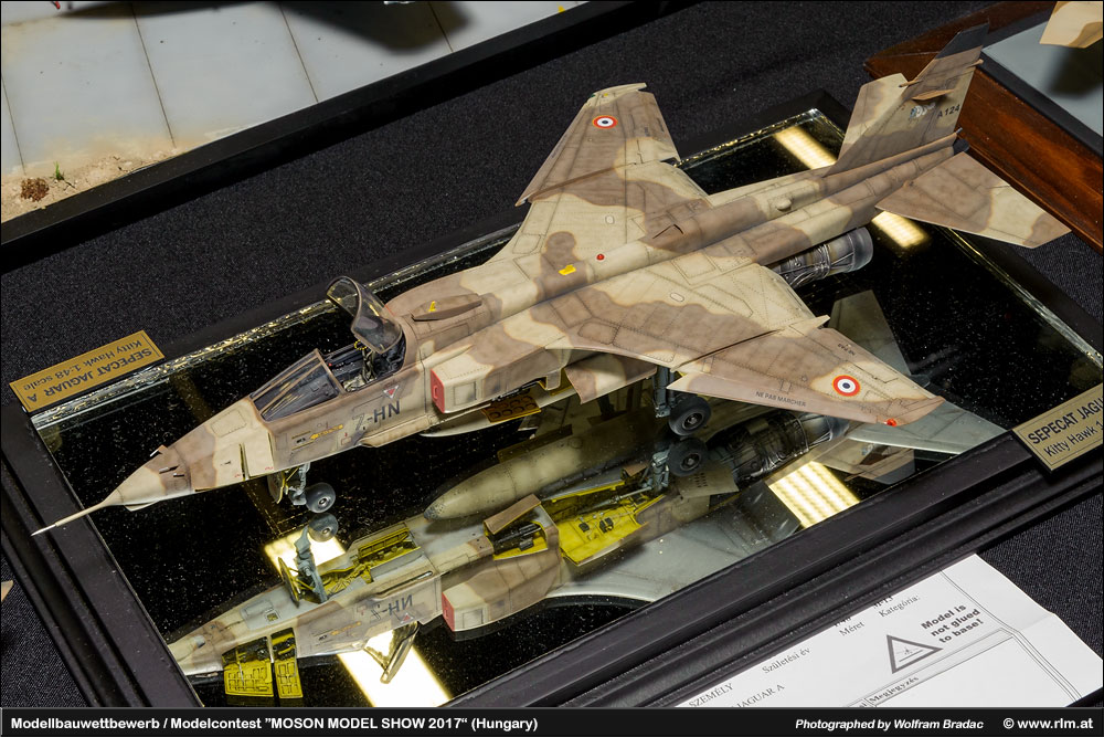 匈牙利莫雄模型展(Moson Model show)2017 作品欣赏