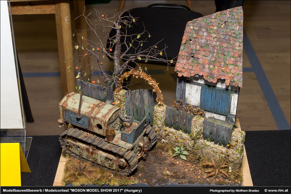 匈牙利莫雄模型展(Moson Model show)2017 作品欣赏