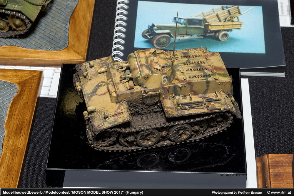 匈牙利莫雄模型展(Moson Model show)2017 作品欣赏