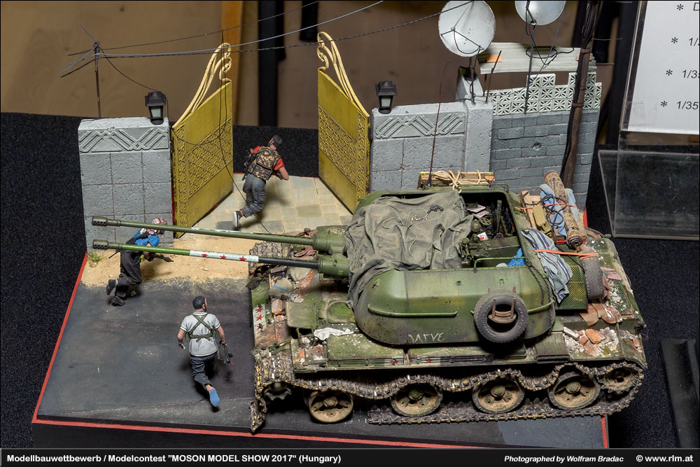 匈牙利莫雄模型展(Moson Model show)2017 作品欣赏