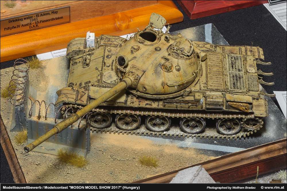 匈牙利莫雄模型展(Moson Model show)2017 作品欣赏