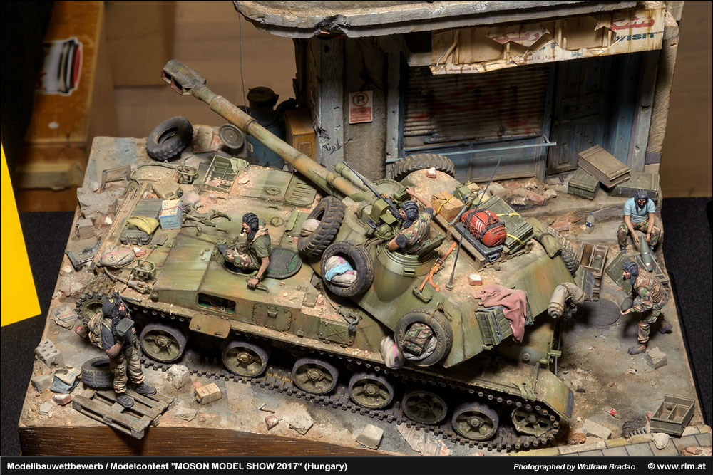 匈牙利莫雄模型展(Moson Model show)2017 作品欣赏