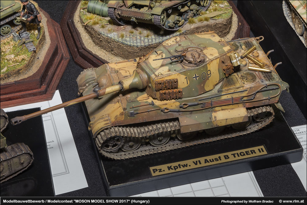 匈牙利莫雄模型展(Moson Model show)2017 作品欣赏