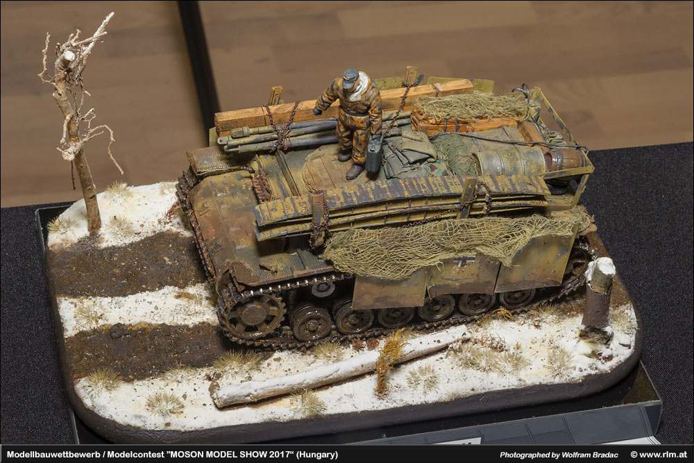 匈牙利莫雄模型展(Moson Model show)2017 作品欣赏