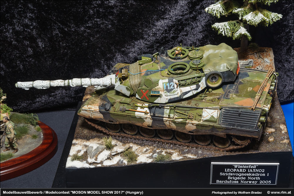 匈牙利莫雄模型展(Moson Model show)2017 作品欣赏