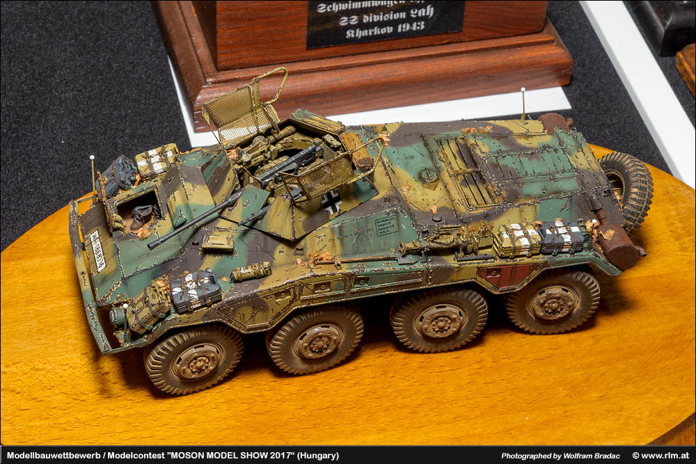 匈牙利莫雄模型展(Moson Model show)2017 作品欣赏
