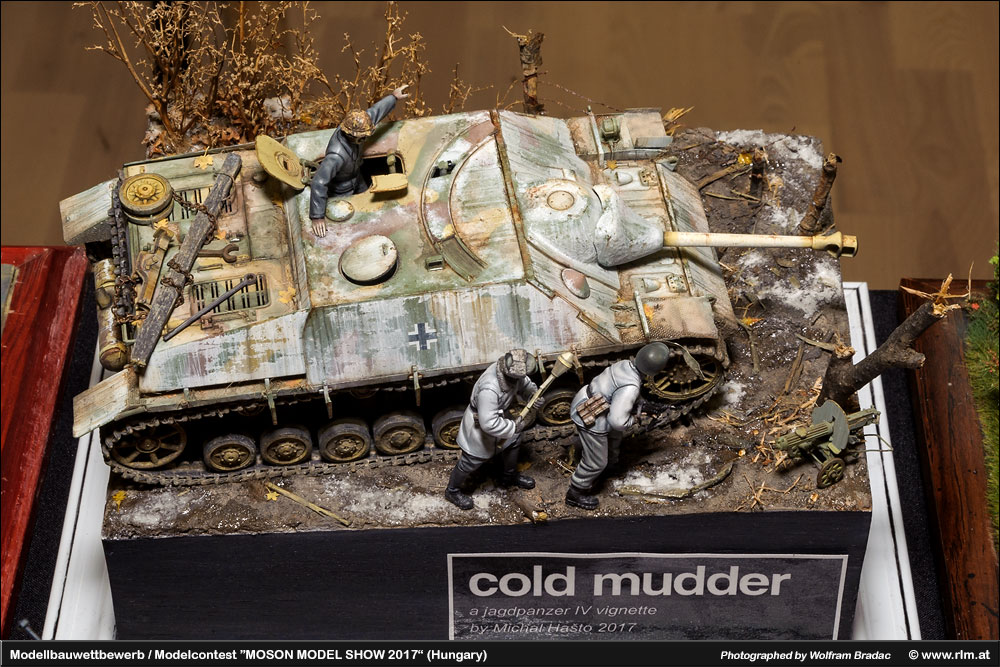 匈牙利莫雄模型展(Moson Model show)2017 作品欣赏