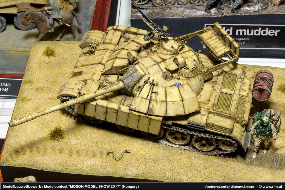 匈牙利莫雄模型展(Moson Model show)2017 作品欣赏
