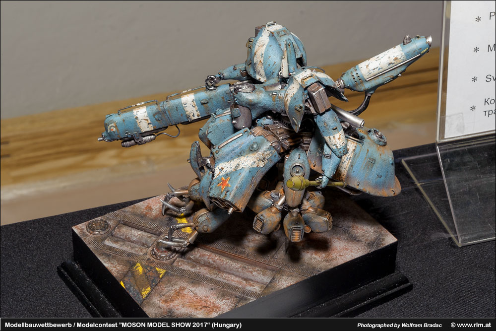 匈牙利莫雄模型展(Moson Model show)2017 作品欣赏