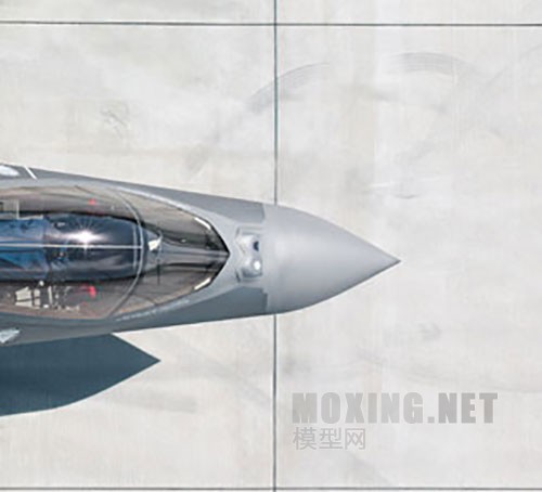 [ģԱ]MENG(LS-007) VS Сӥ(80103)-1/48F-35A