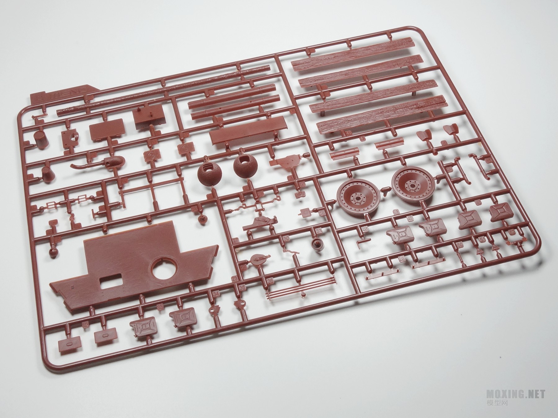 [ģ]MENG-1/35ս¹ڱA̹(TS-035)