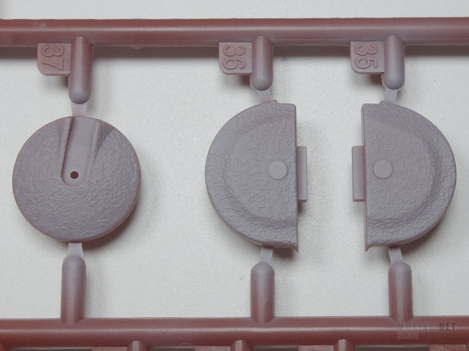 [ģ]MENG-1/35ս¹ڱA̹(TS-035)
