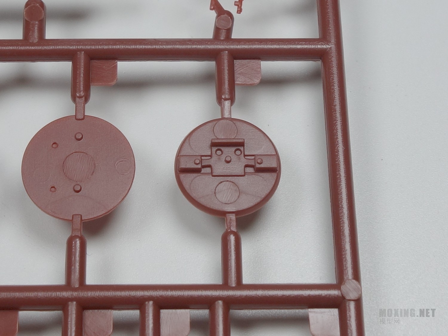 [ģ]MENG-1/35ս¹ڱA̹(TS-035)