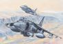 HBƷ(81804)-1/18AV-8B