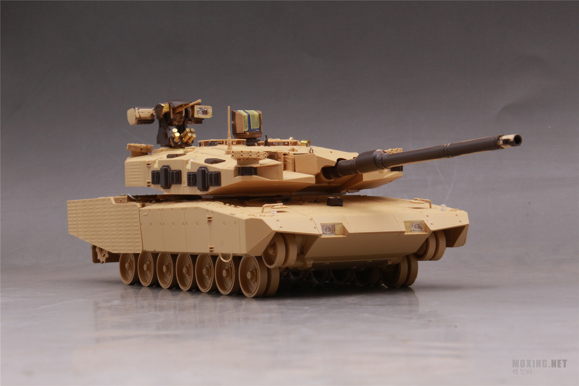 [ģ]TIGER(4628)-1/35¹ 2 2 ս̹