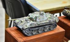 Moson Model show 2019 AFVƷ