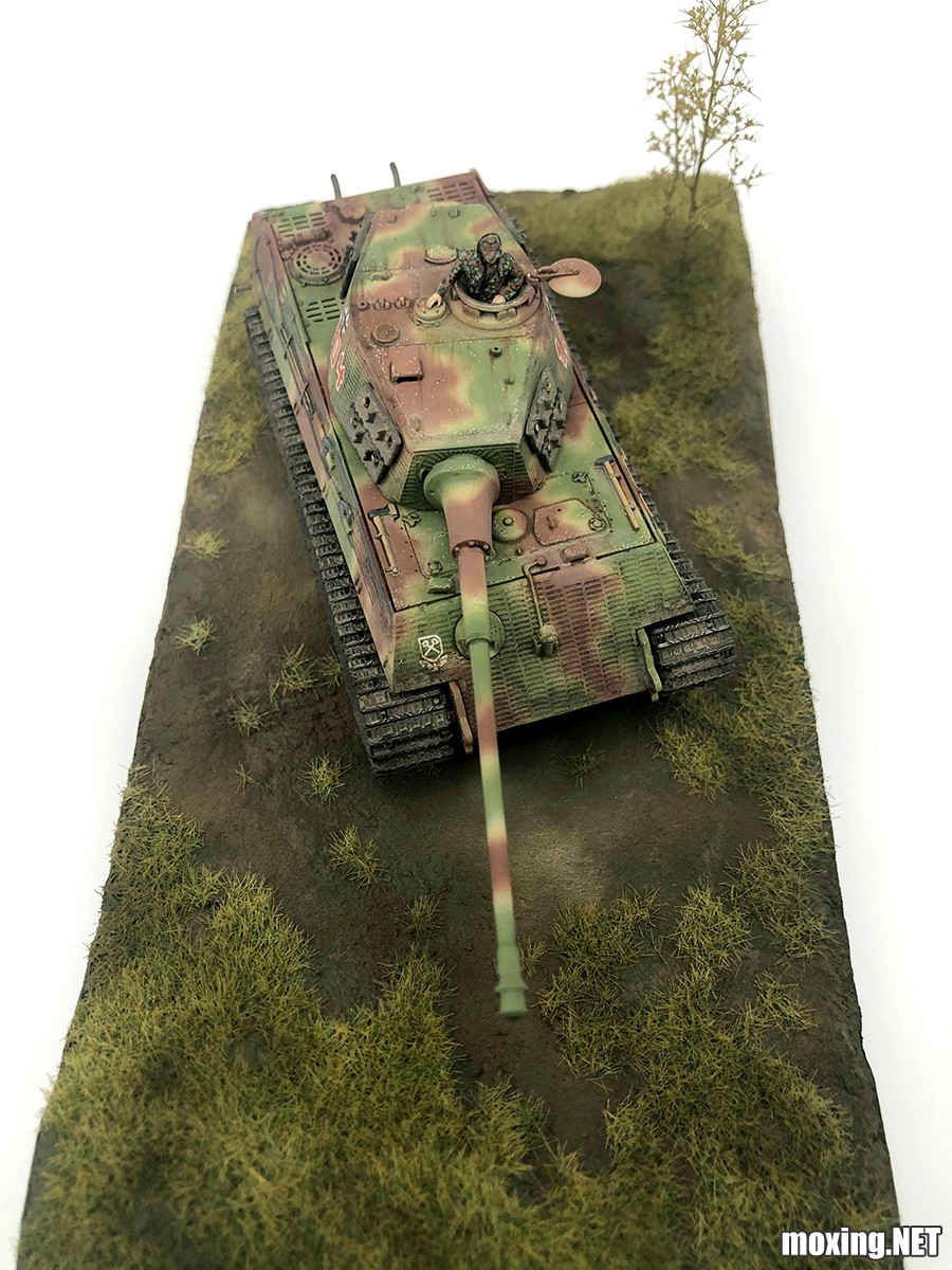 a003.jpg