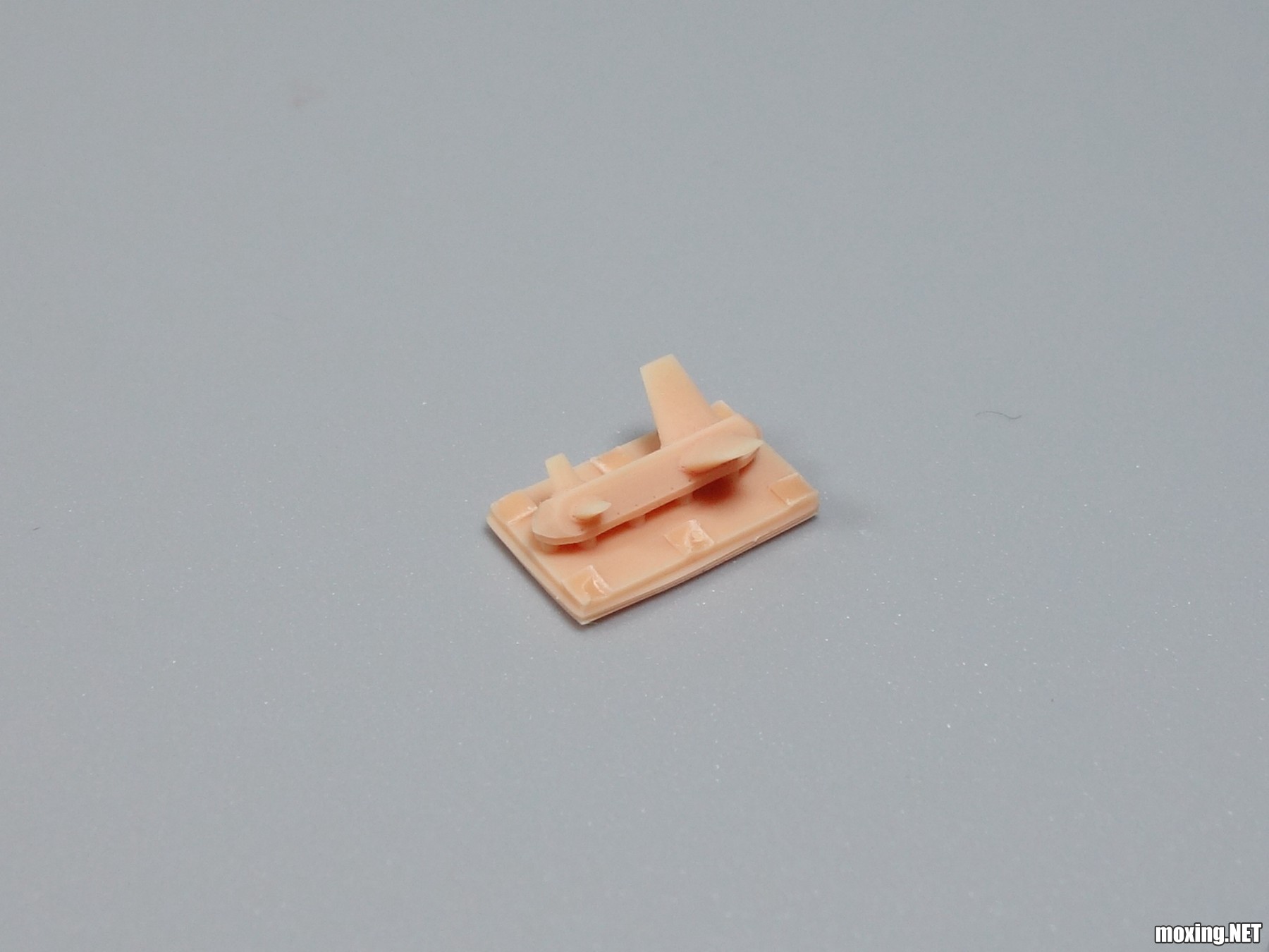 DSC03886_.jpg