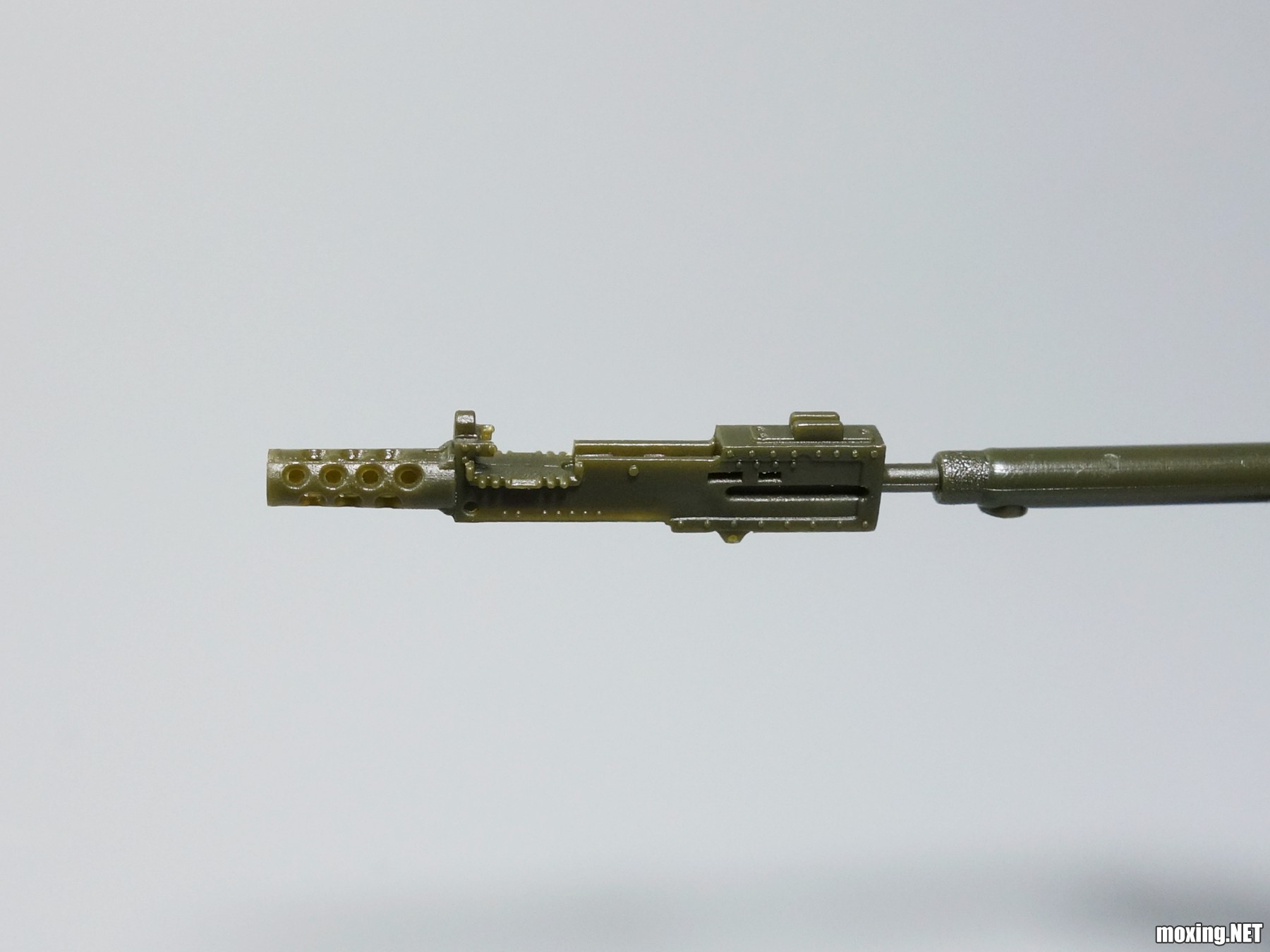 DSC04202_.jpg