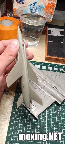 403E186D-D691-4E12-B7D6-43F2A17CF68D.jpeg