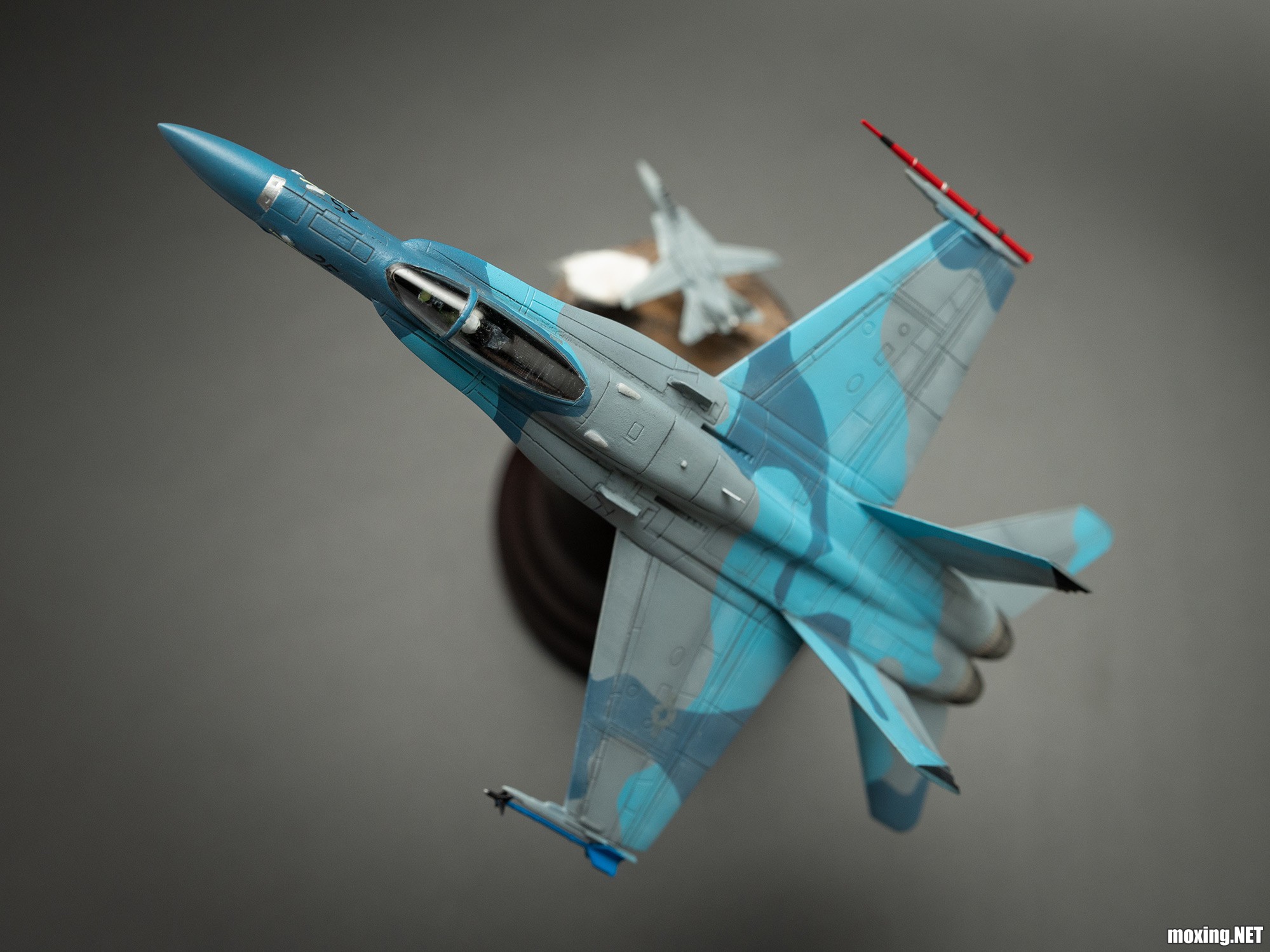 _SBP5916.jpg