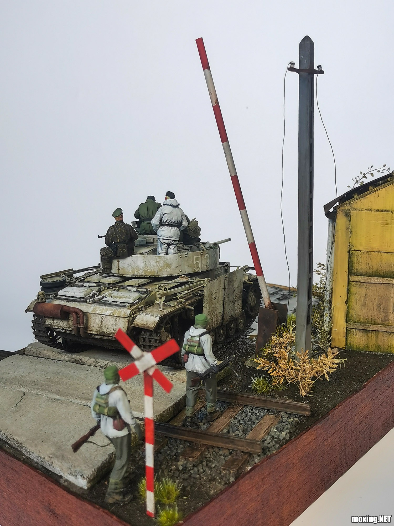 WechatIMG8.jpeg