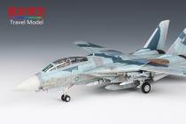 F-14A NSAWC-10-遨游天际zqp作品
