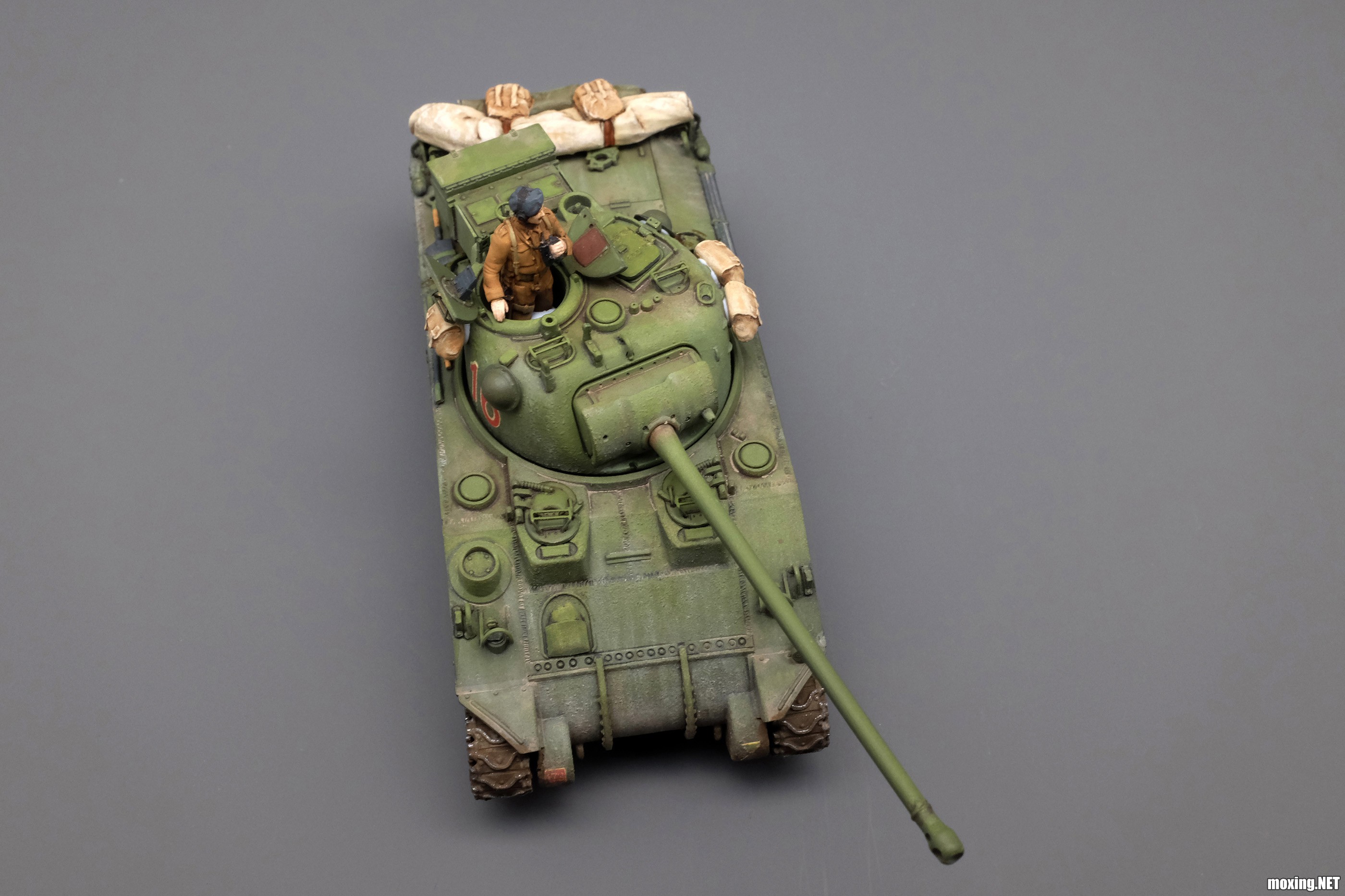 Firefly_11.JPG
