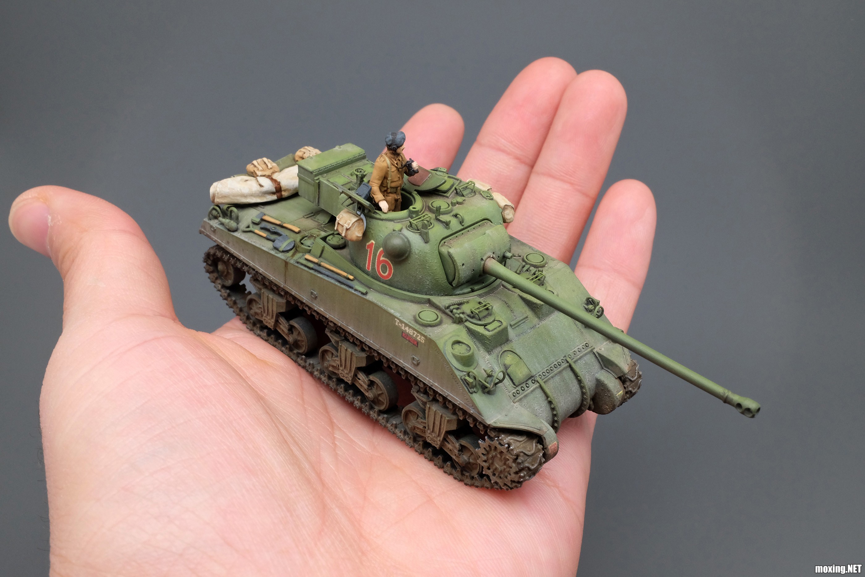Firefly_17.JPG