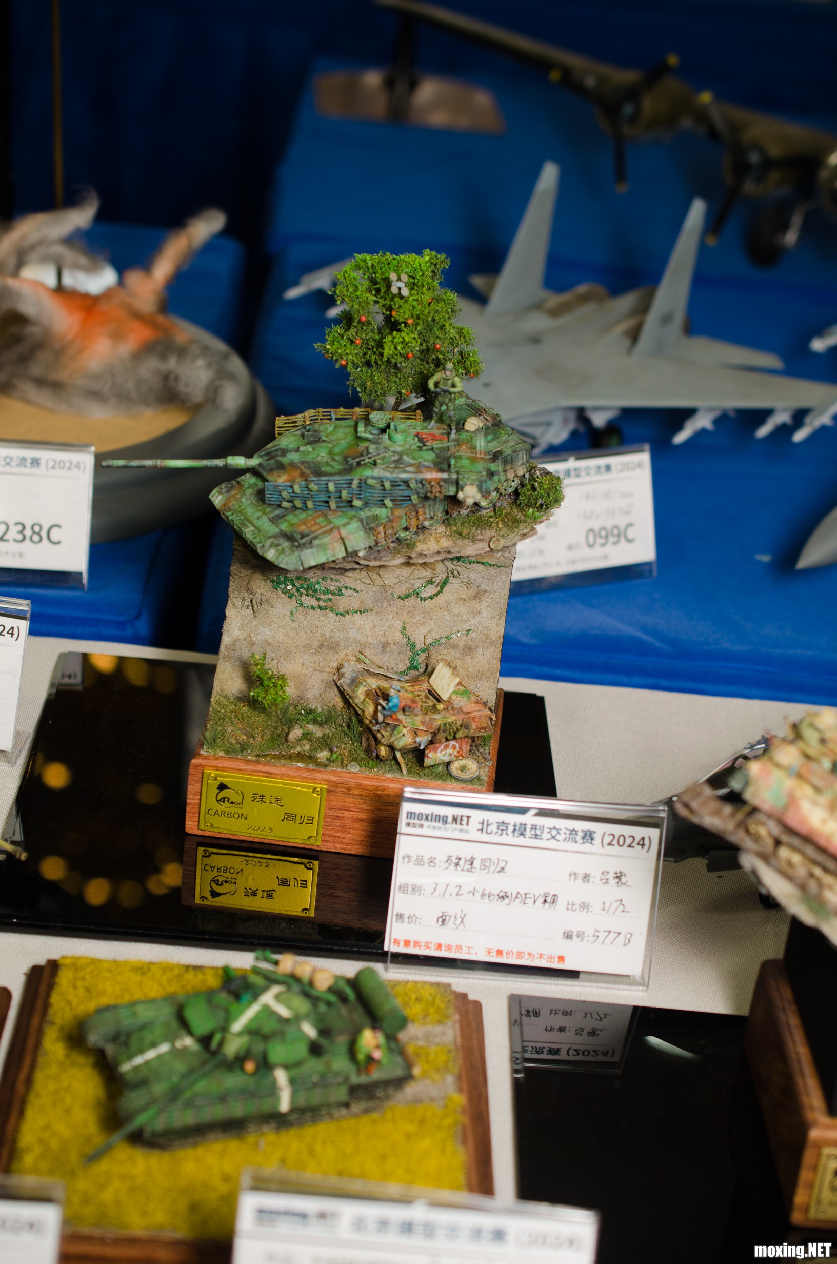_DSC6865.jpg
