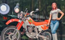 [ģ]ȴ(21516)1:12 Honda XLR BAJA ԽҰĦС
